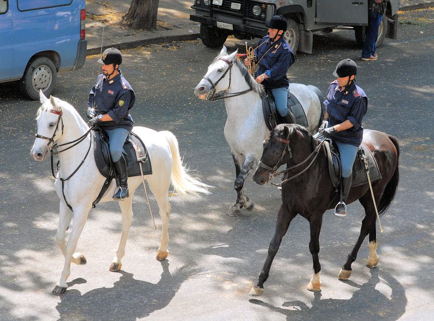 Xilocopa e ancora polizia a cavallo